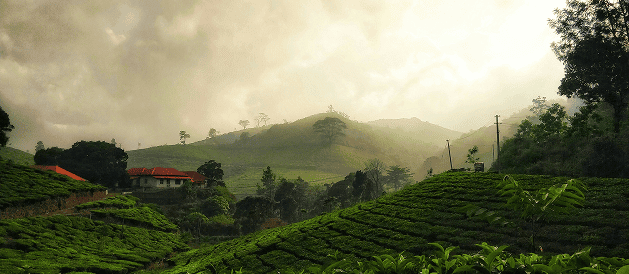 Kerala Image